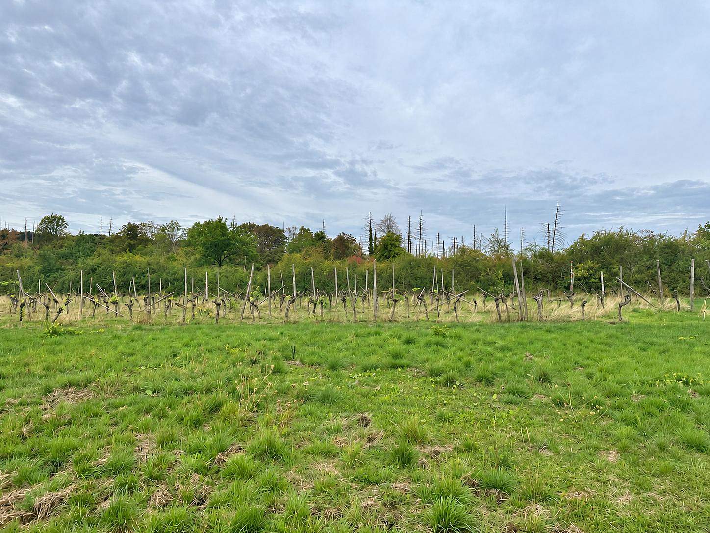 Building Plot – For Sale – Schengen